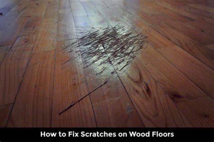 Will a dog scratch my hardwood floors?