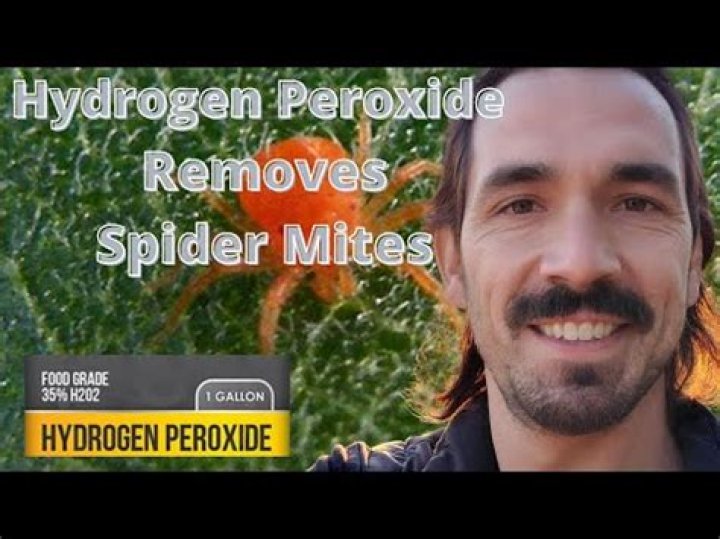 Will diluted hydrogen peroxide hurt plants?