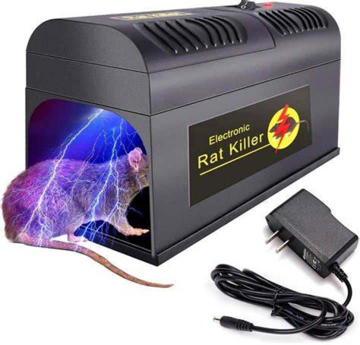 Will engine coolant kill mice?