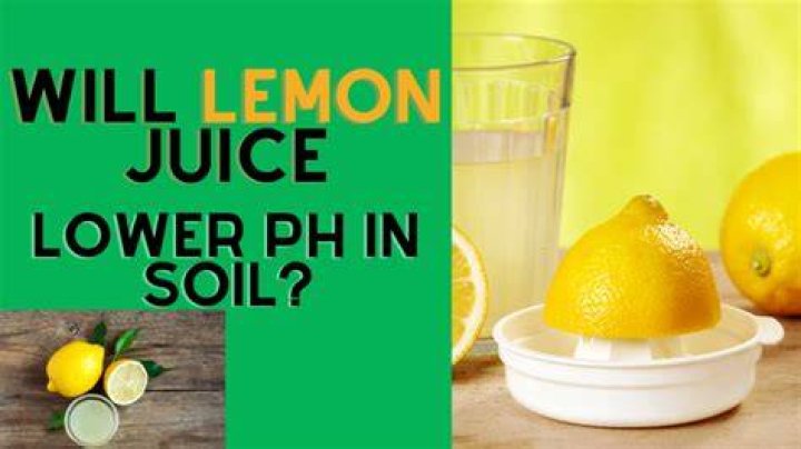 Will lemon juice lower pH in soil?